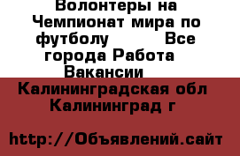 Волонтеры на Чемпионат мира по футболу 2018. - Все города Работа » Вакансии   . Калининградская обл.,Калининград г.